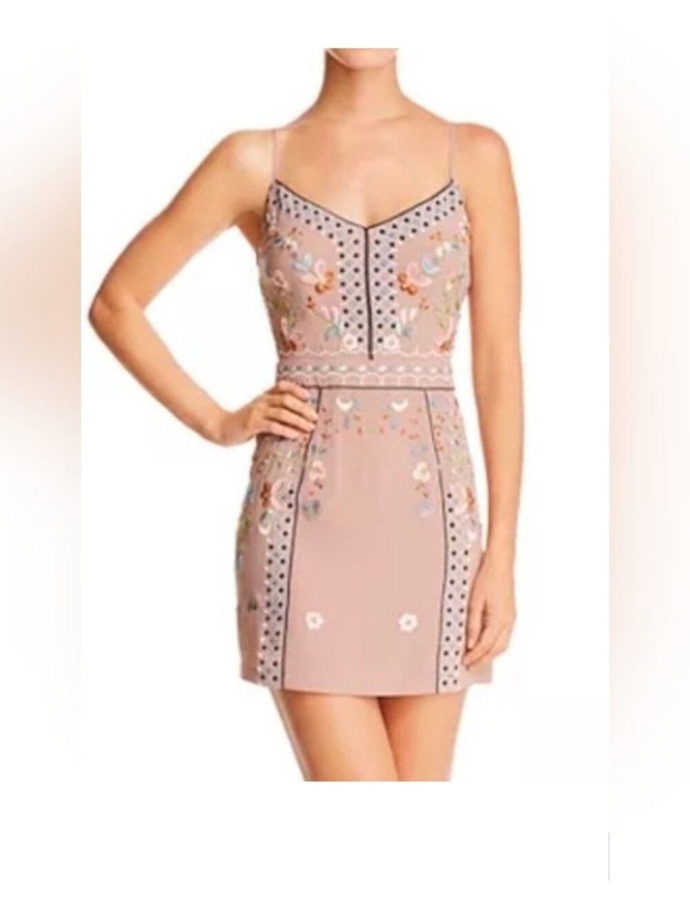French Connection Embroidered Mini Dress